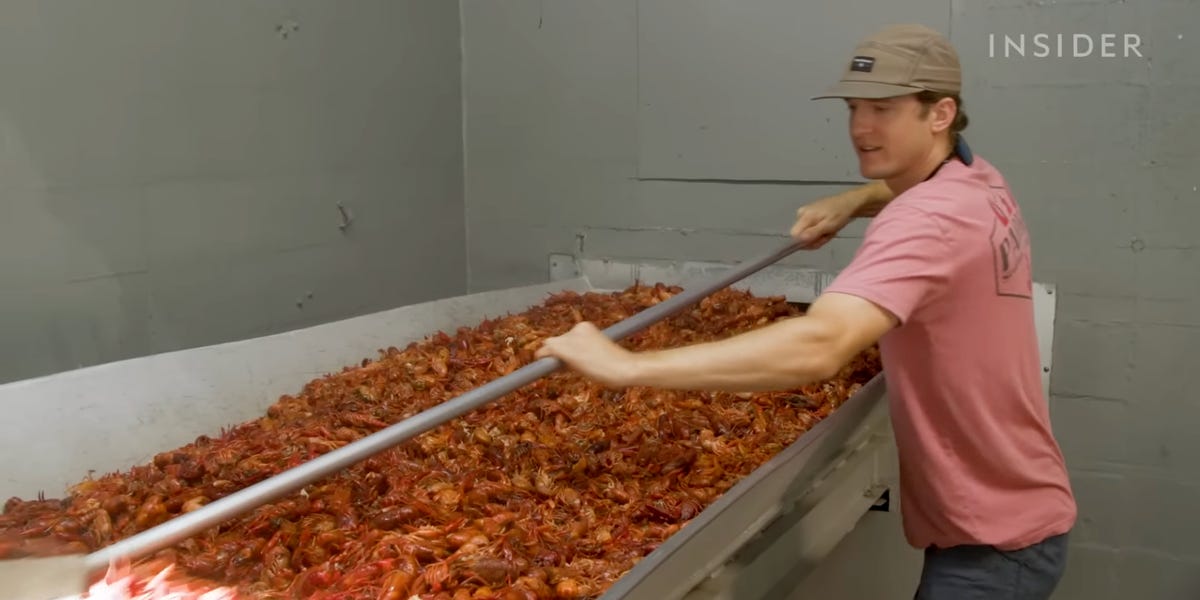 Comment une entreprise d'écrevisses de Louisiane récolte 60 000 livres par jour