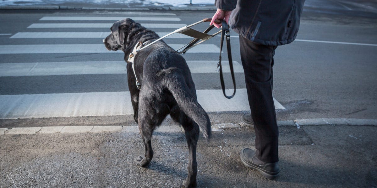 Papa John's a embauché un travailleur aveugle, puis l'a licencié avant qu'il ait travaillé lorsqu'il a demandé à amener son chien d'assistance au travail, selon une agence fédérale