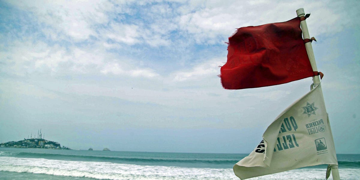 Des administrateurs âgés de 942 ans aux « anomalies financières », ces signaux d'alarme révèlent si une société écran pourrait être une fraude, selon Moody's.