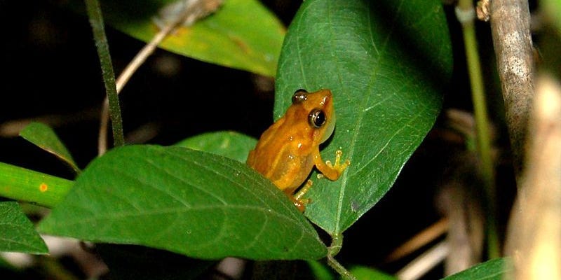 La montagne de 34 000 milliards de dollars de dette nationale est une situation de « grenouille bouillante » pour l’économie américaine, prévient JPMorgan.