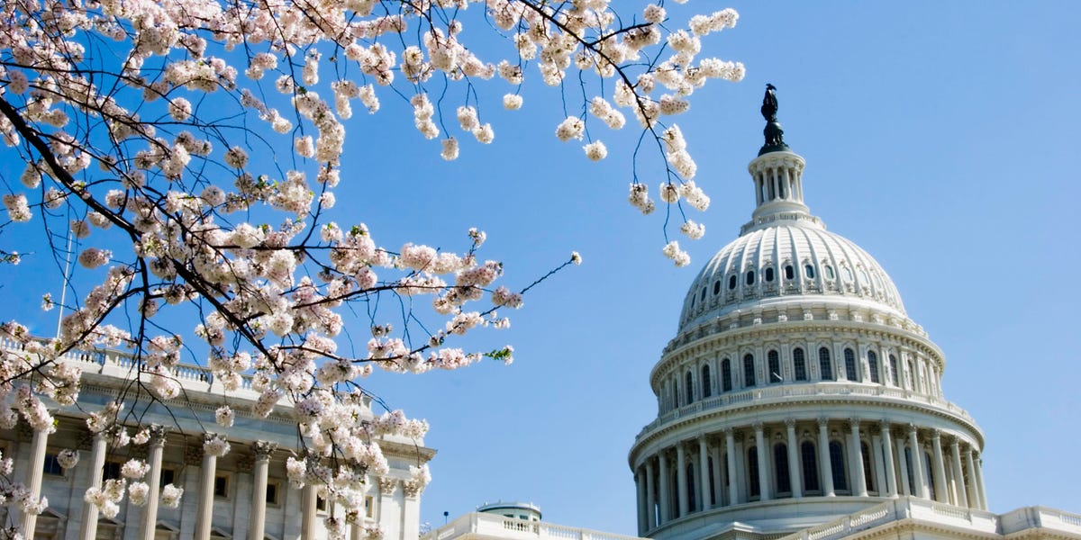 Un programme de revenu de base de DC permet aux gens de choisir le montant de leurs chèques.  Une participante a déclaré que 1 400 $ par mois était ce dont elle avait besoin pour payer ses factures médicales.