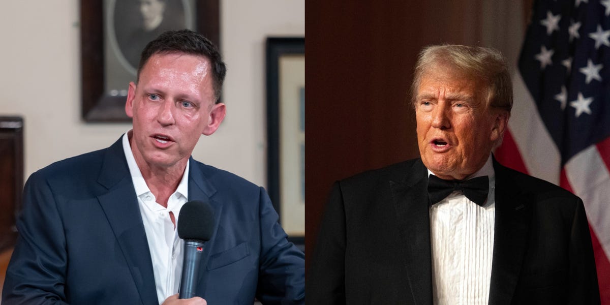 Peter Thiel dit qu'il n'accepterait pas un poste « à plein temps » dans l'administration Trump : « Je serais déprimé et fou »