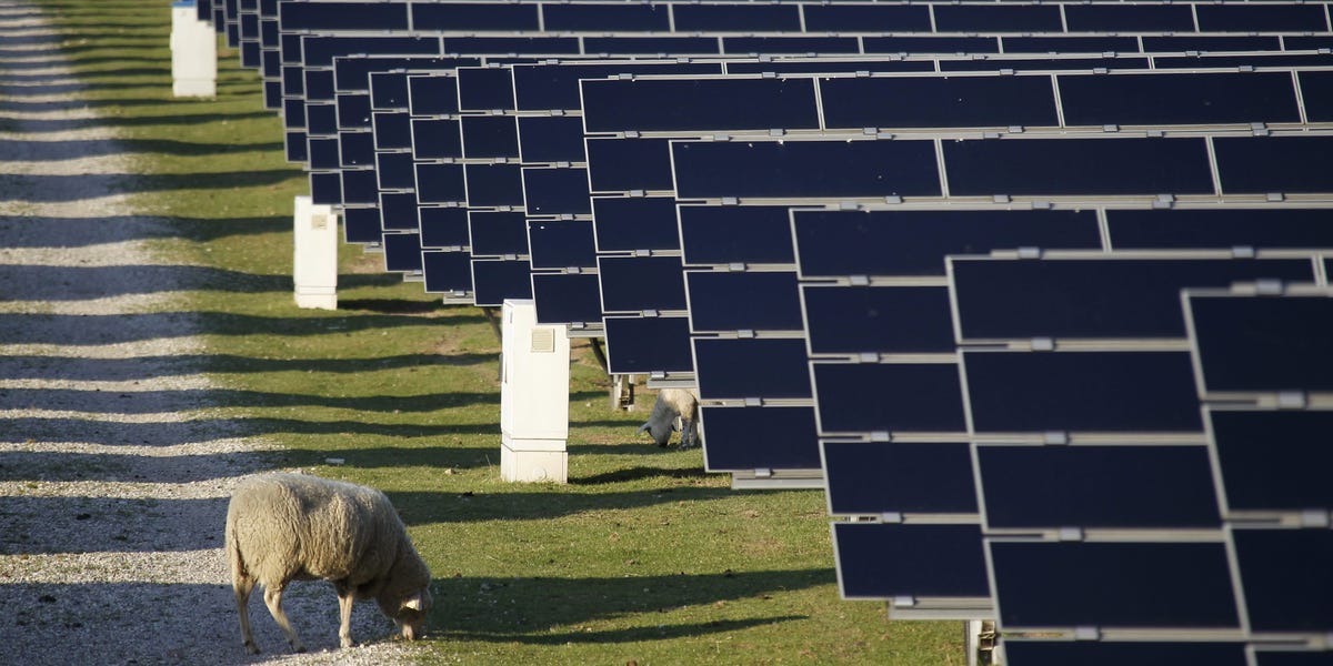 Les prix de l’électricité en Allemagne deviennent négatifs alors que l’offre dépasse la demande dans un contexte de développement des énergies renouvelables