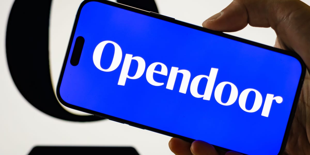 Le bûcher des haies qui a déclenché le rallye en actions d'OpenDoor indique que le départ du PDG out le terrain pour une augmentation de 2 000% cette année