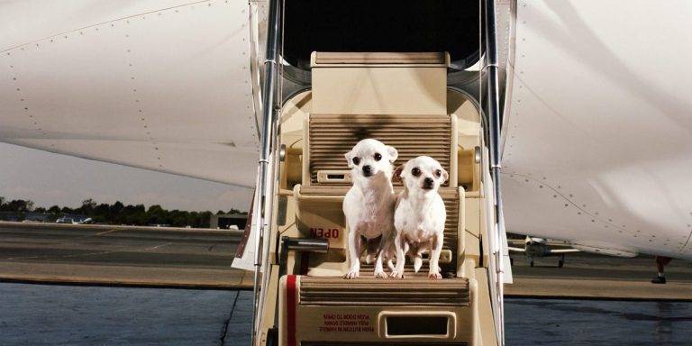 Les milliardaires disent qu&rsquo;un jet privé est l&rsquo;un des plus grands luxes de la vie. Voici combien cela coûte.