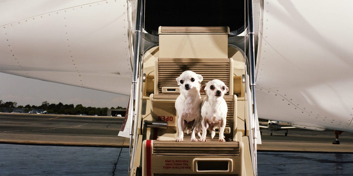 Les milliardaires disent qu'un jet privé est l'un des plus grands luxes de la vie. Voici combien cela coûte.