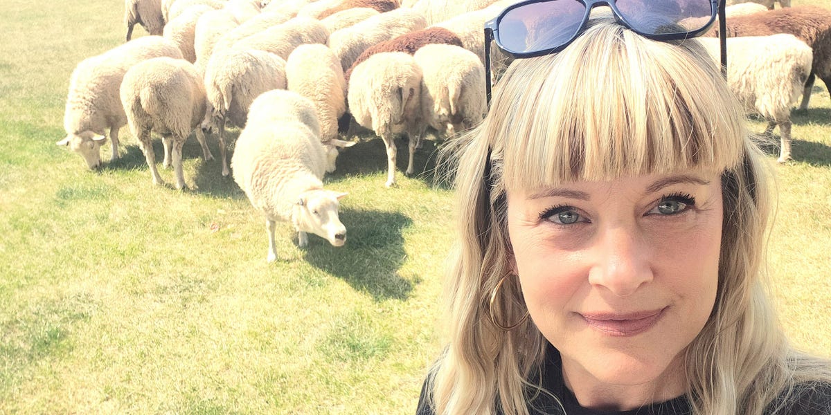 Nous avons quitté une grande ville pour vivre dans une petite ville à proximité; La vie est meilleure