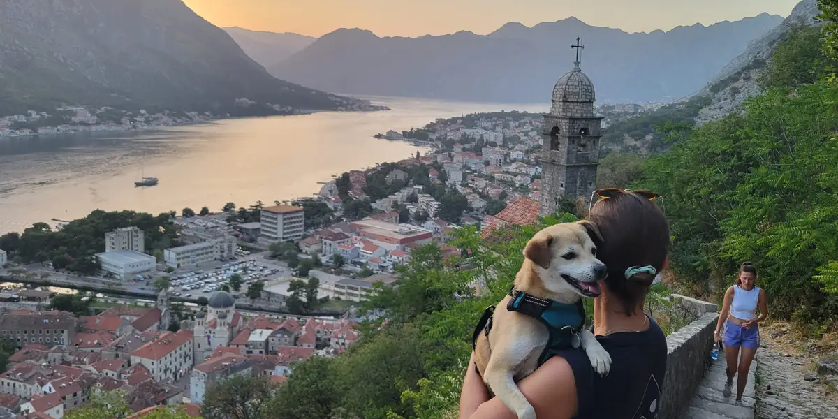 J'ai quitté les États-Unis et j'ai vécu partout dans le monde. le choc culturel inversé est difficile.