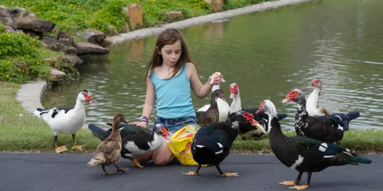 Sa famille a déménagé dans une banlieue du Texas il y a 17 ans ; Heureux de l&rsquo;avoir fait