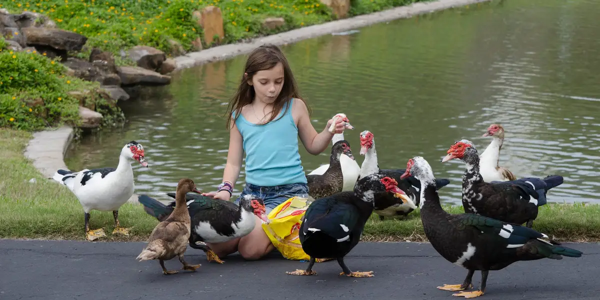 Sa famille a déménagé dans une banlieue du Texas il y a 17 ans ; Heureux de l'avoir fait