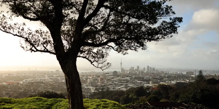 Les méga-riches déménagent. Voici où ils vont.