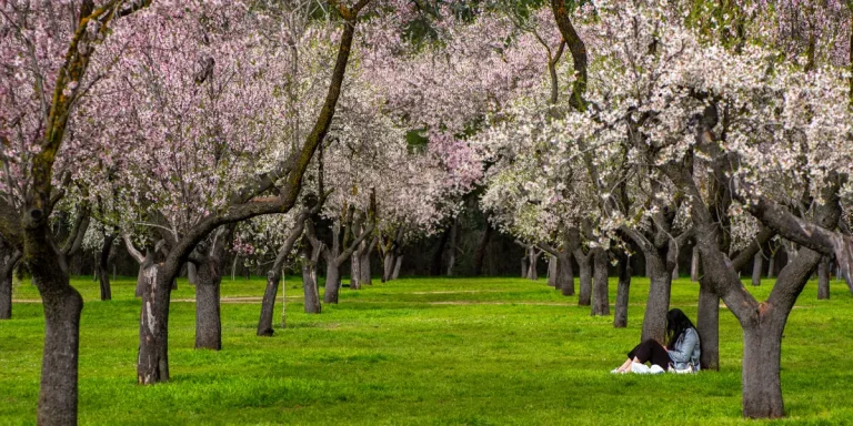 Meilleures recommandations de Money Book d’investisseurs financièrement avisés