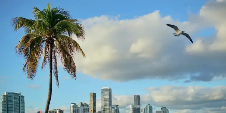 Où sont passés tous les gestionnaires de portefeuille de Miami ?