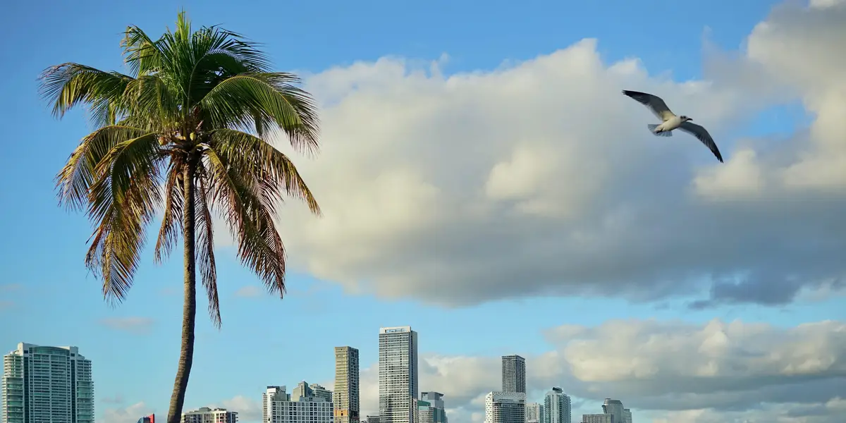 Où sont passés tous les gestionnaires de portefeuille de Miami ?