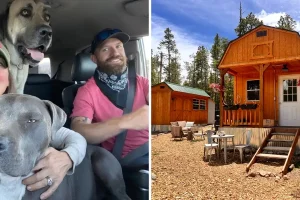 Un couple a acheté un terrain de 380 m². Fort. Un hangar de 12 000 $ a été transformé en une petite maison