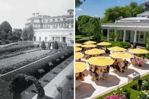 Les changements apportés par Trump à la roseraie de la Maison Blanche : histoire, photos