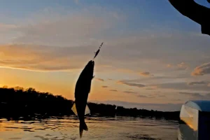 Walleye ajoute des PM en interne et met de l&rsquo;argent à travailler en externe
