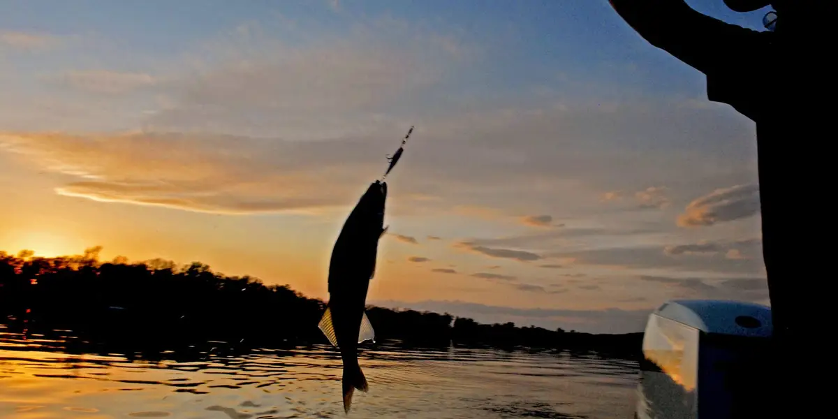 Walleye ajoute des PM en interne et met de l'argent à travailler en externe